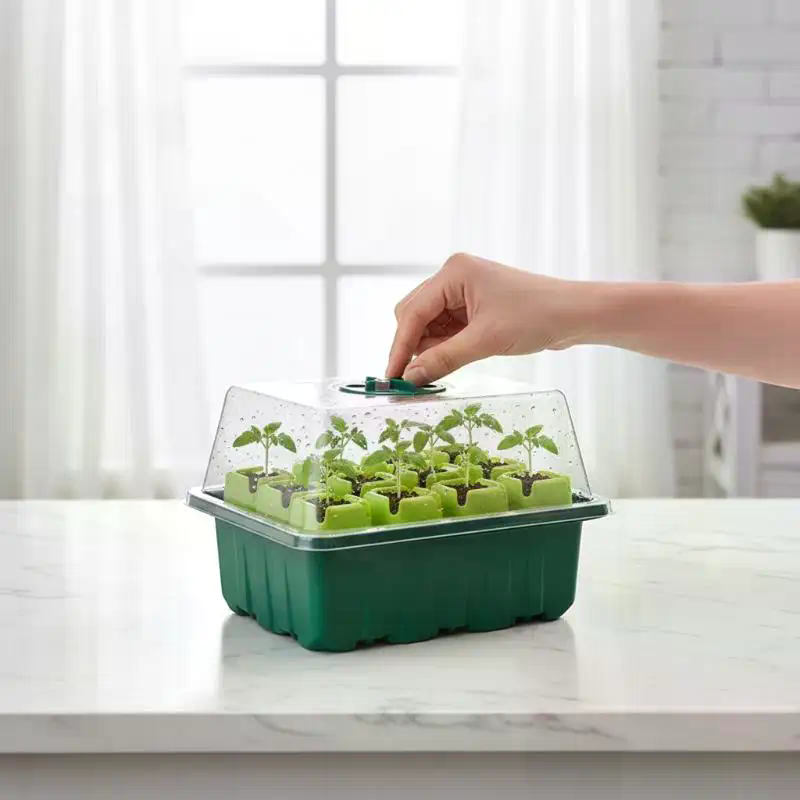 Propagation Tray Dome - 1Set Seed Starter Tray Mini Greenhouse