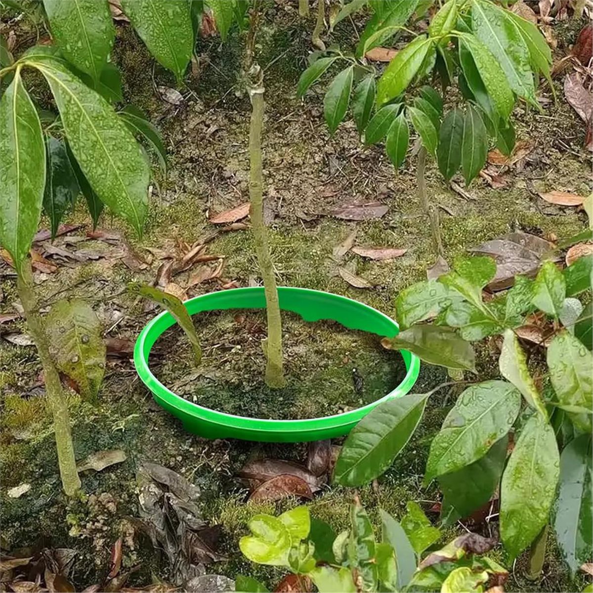 【COUNTDOWN DEAL】 4 Plant Guard - đánh giá và giá Gardening Tools Deals