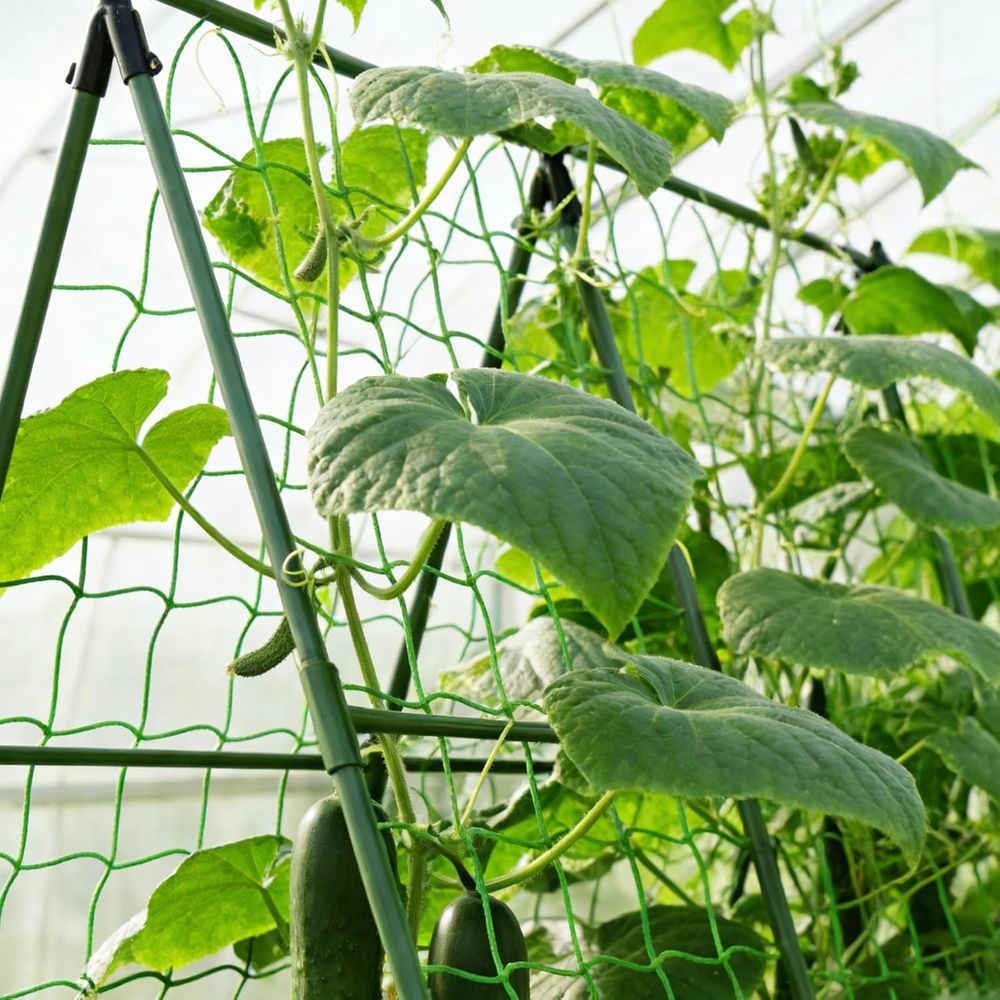 50 Pack 58-Inch Tomato Plant S - đánh giá và giá Plant Support Stake
