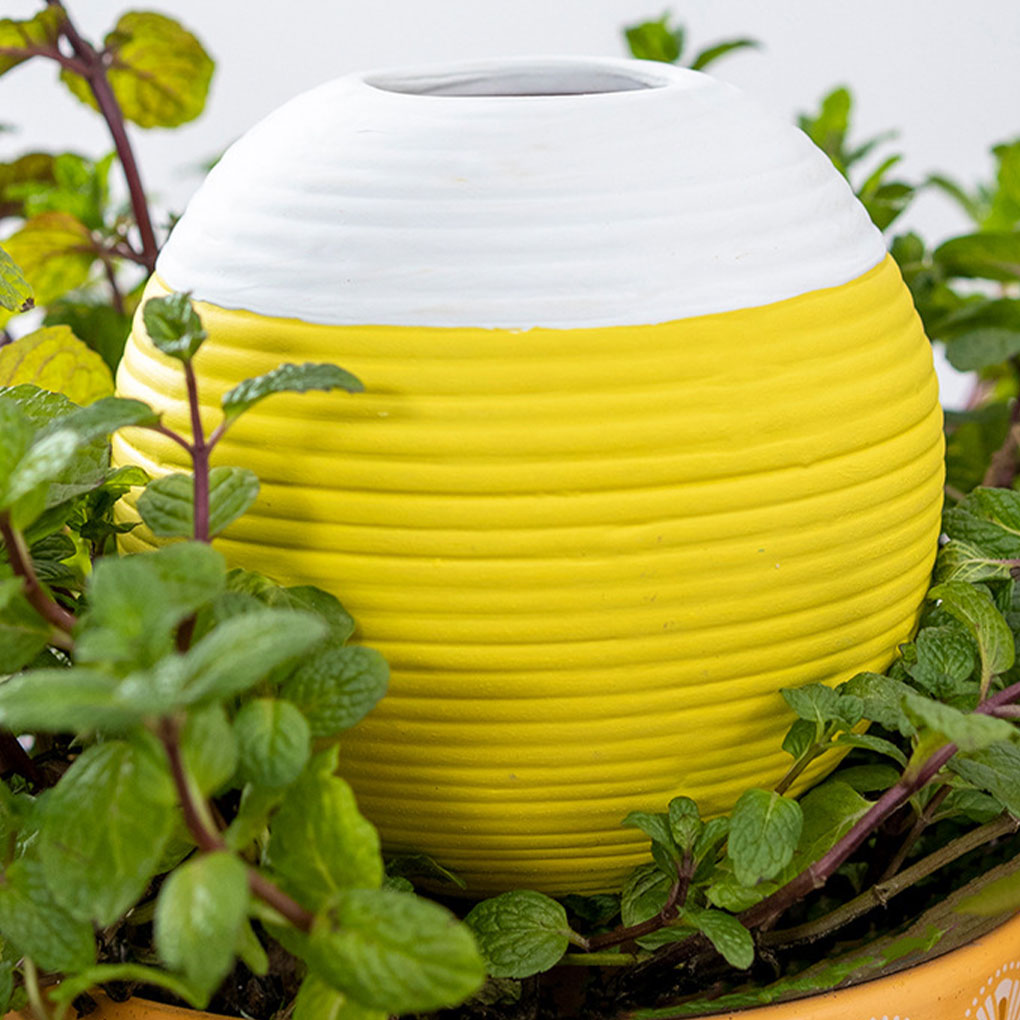 Ceramics Automatic Plant Water - đánh giá và giá Gardening Tools Must Haves