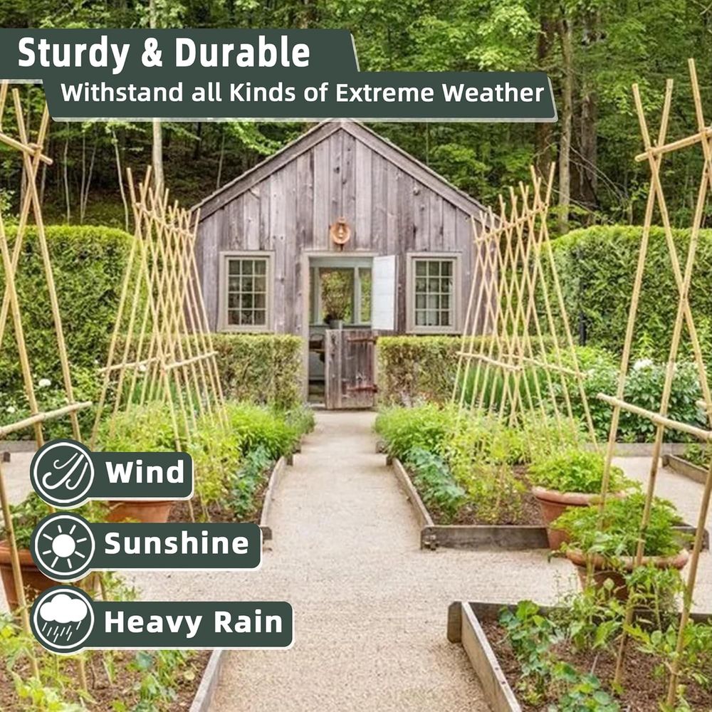 50 Pack Bamboo Plant Stakes fo - đánh giá và giá Plant Support Stake