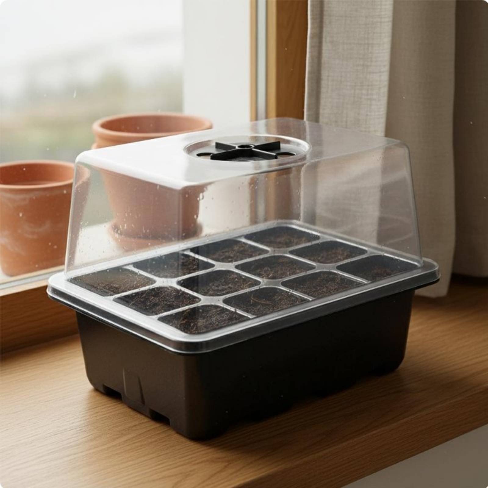 12 Compartment Seed Starting T - đánh giá và giá Propagation Tray Dome