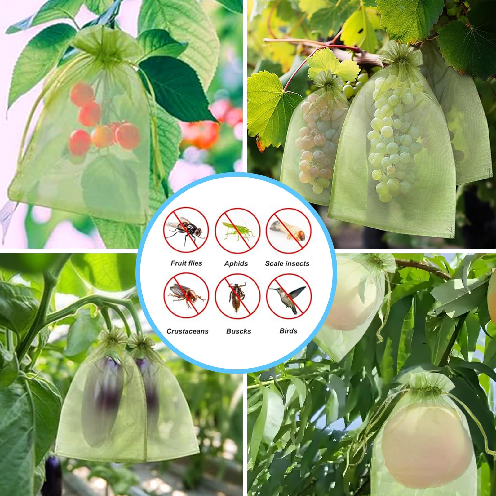 Effective Anti-Bird Netting Fr - đánh giá và giá Garden Netting Cover