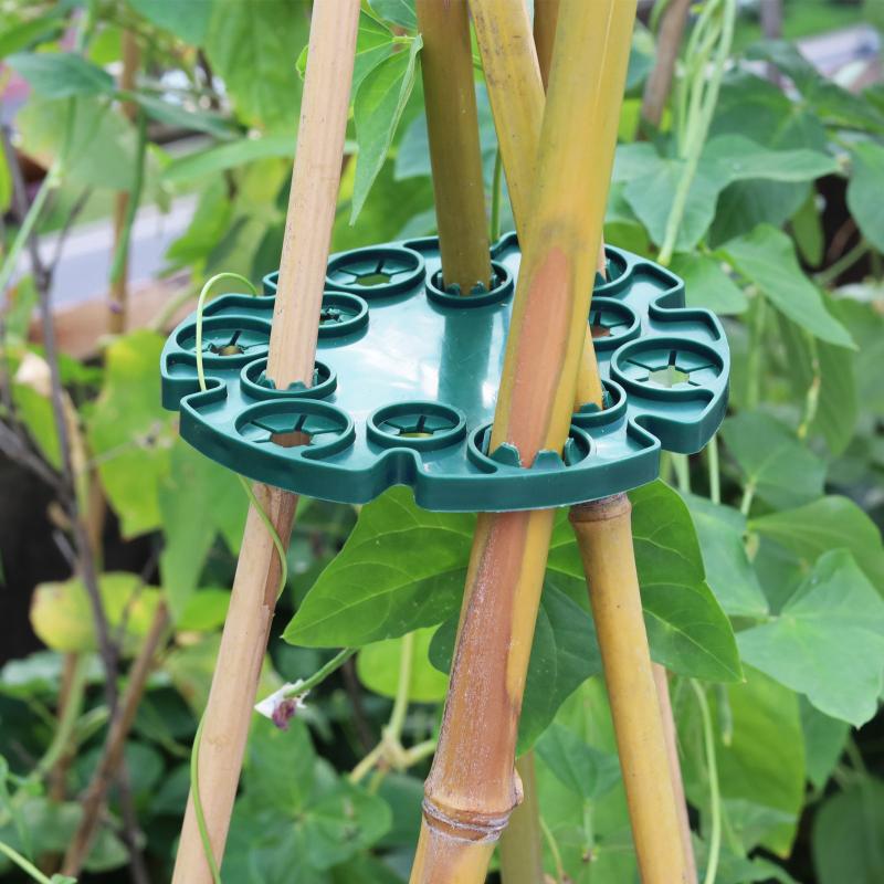 Garden Trellis Plastic Plant S - đánh giá và giá Plant Support Stake