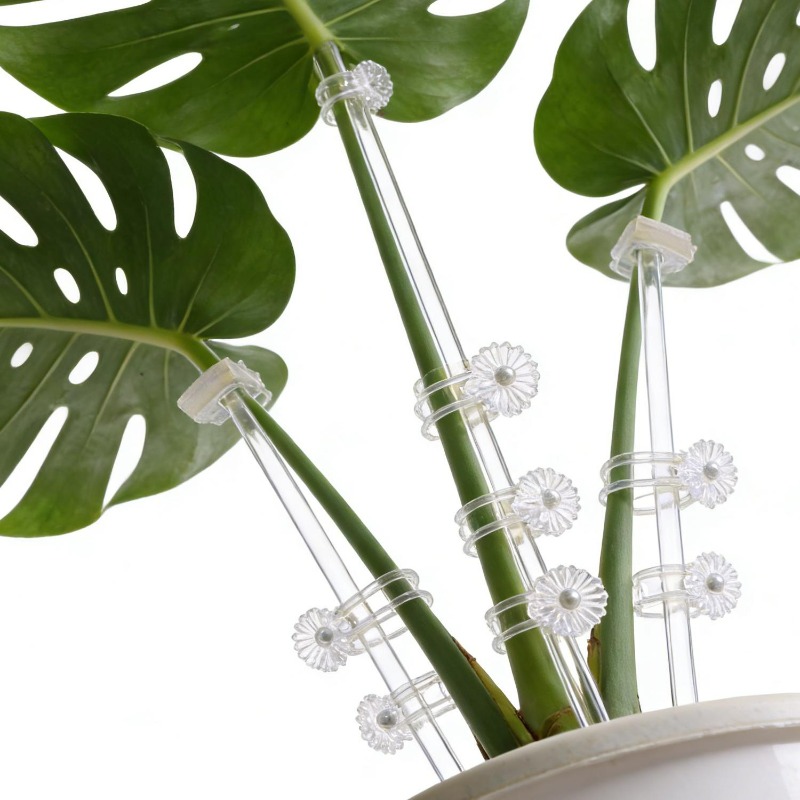 Reusable Clear Flower Support  - đánh giá và giá Plant Support Stake