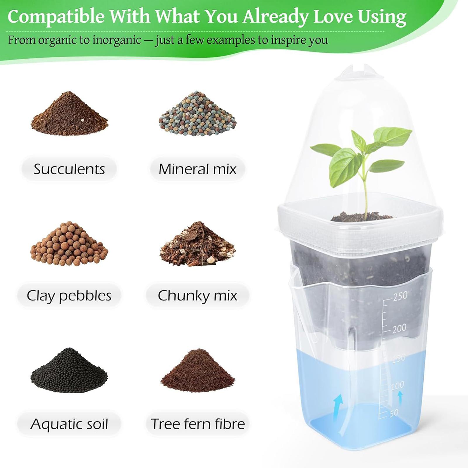 Self Watering Pots 12Pcs Seed  - đánh giá và giá Propagation Tray Dome
