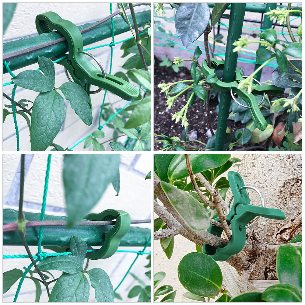 60Pcs Garden Plant Clips Plast - đánh giá và giá Plant Support Stake