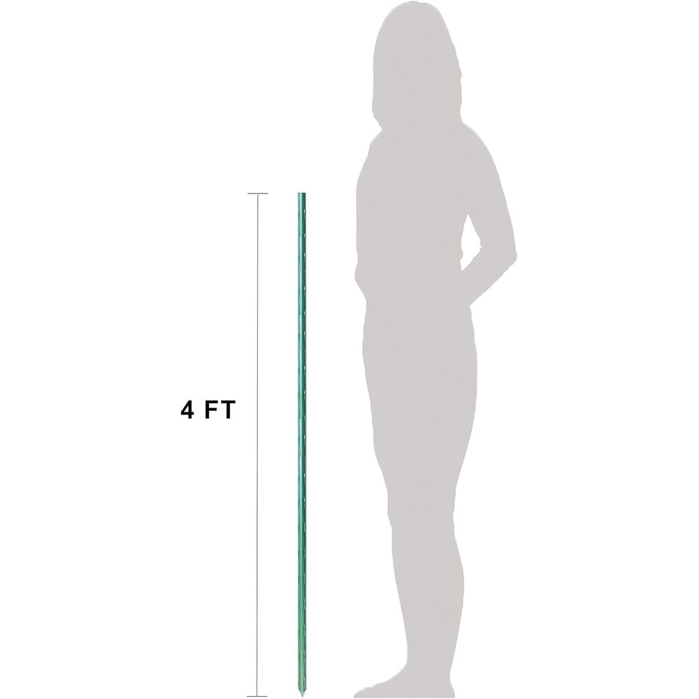 50-Piece 48-Inch Strong Tomato - đánh giá và giá Plant Support Stake