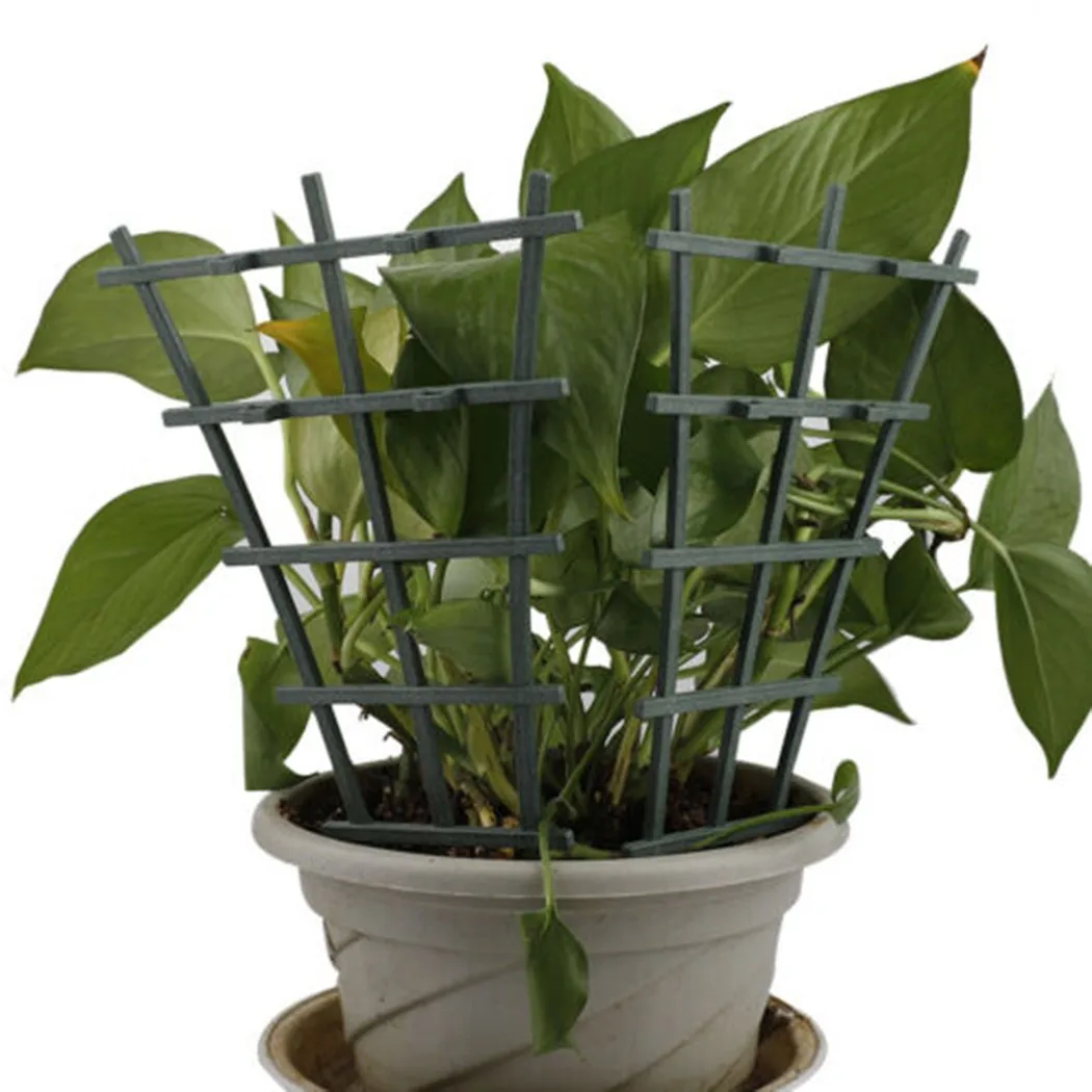 Practical Hot New Plant Suppor - đánh giá và giá Plant Support Stake
