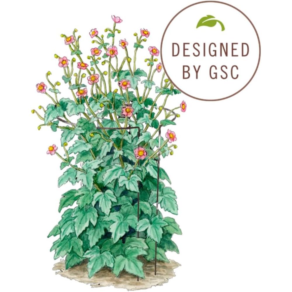 Metal Garden Plant Stakes | Du - đánh giá và giá Plant Support Stake