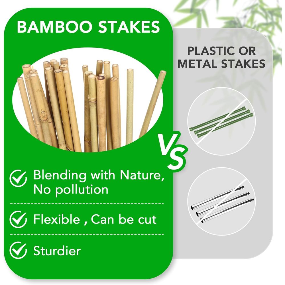 Set of 55 Bamboo Plant Stakes  - đánh giá và giá Plant Support Stake