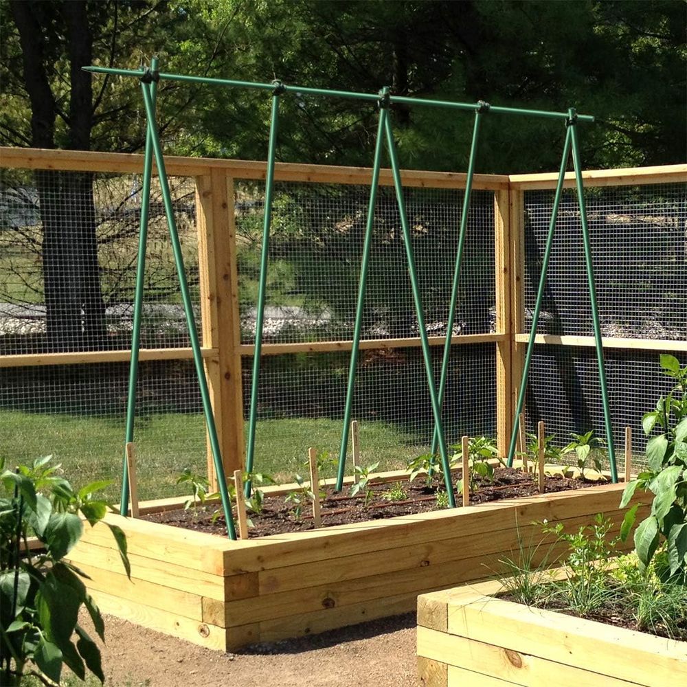 60-Inch 3/8 Diameter Garden Su - đánh giá và giá Plant Support Stake
